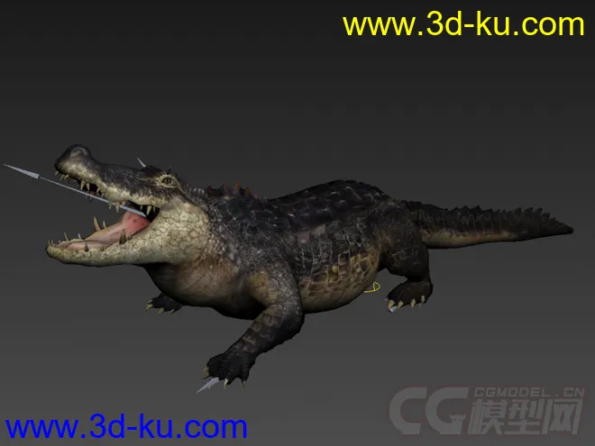鳄鱼 写实模型 带有绑定和攻击动作的图片3