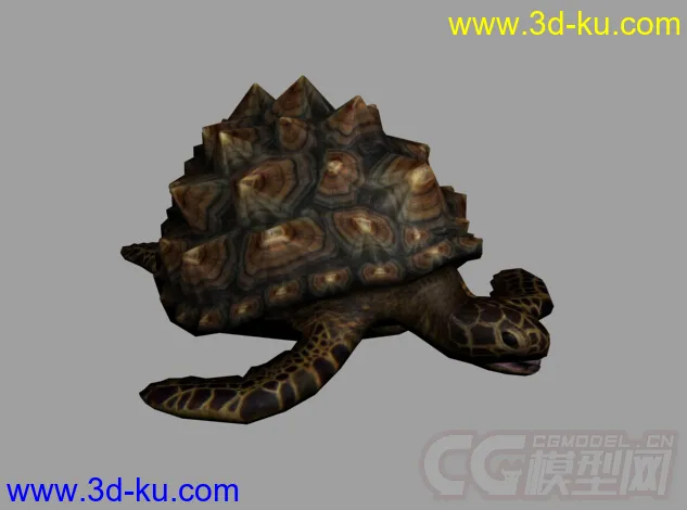 海龟 乌龟 长满背刺的海龟模型的图片1