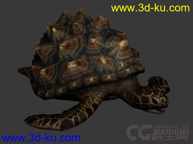 海龟 乌龟 长满背刺的海龟模型的图片3