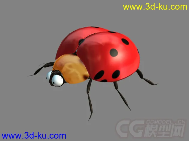 七星瓢虫 瓢虫 甲壳虫模型的图片1