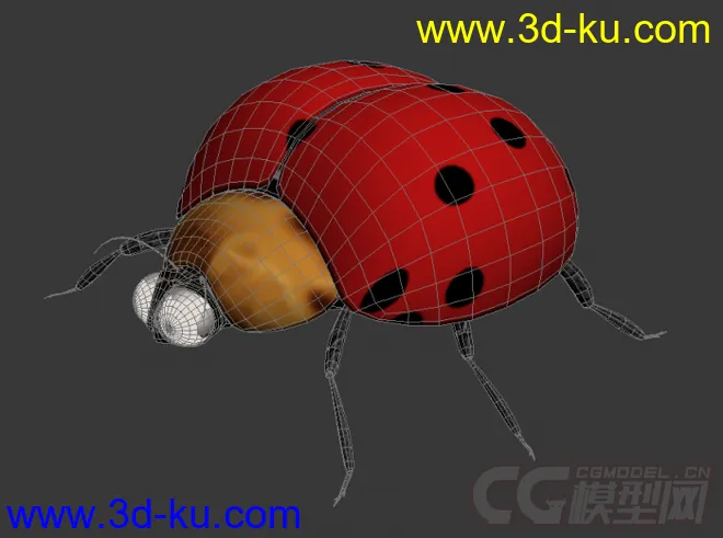 七星瓢虫 瓢虫 甲壳虫模型的图片2