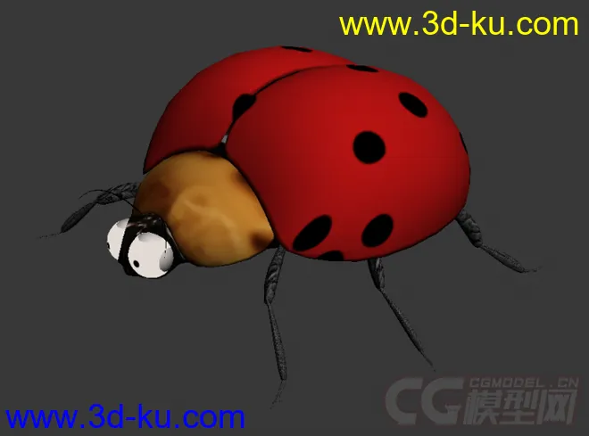 七星瓢虫 瓢虫 甲壳虫模型的图片3