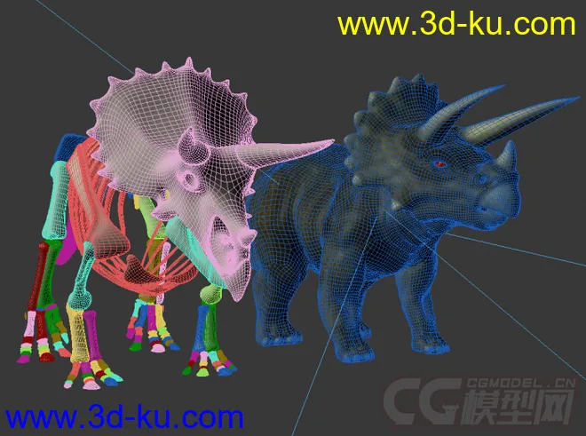 三角龙 恐龙 三角龙龙骨恐龙骨骼写实模型的图片1