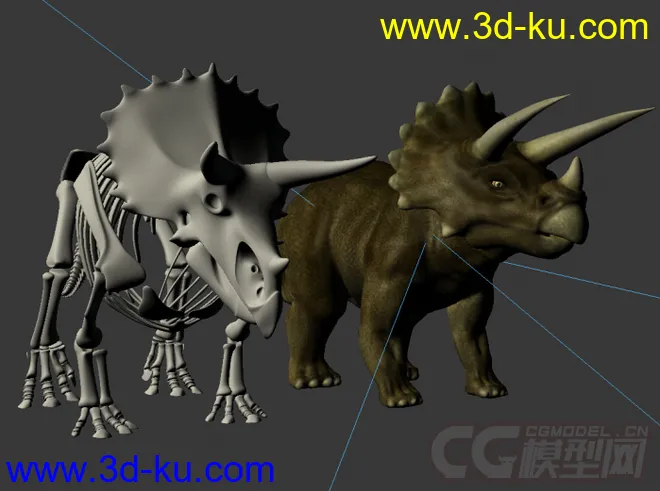 三角龙 恐龙 三角龙龙骨恐龙骨骼写实模型的图片2