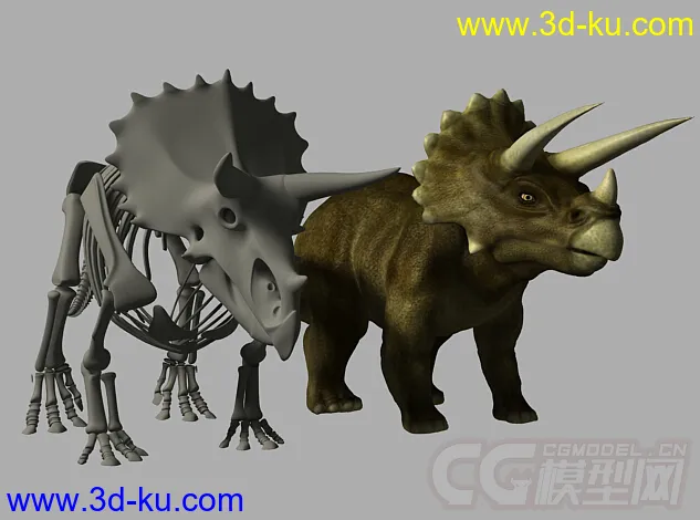 三角龙 恐龙 三角龙龙骨恐龙骨骼写实模型的图片3