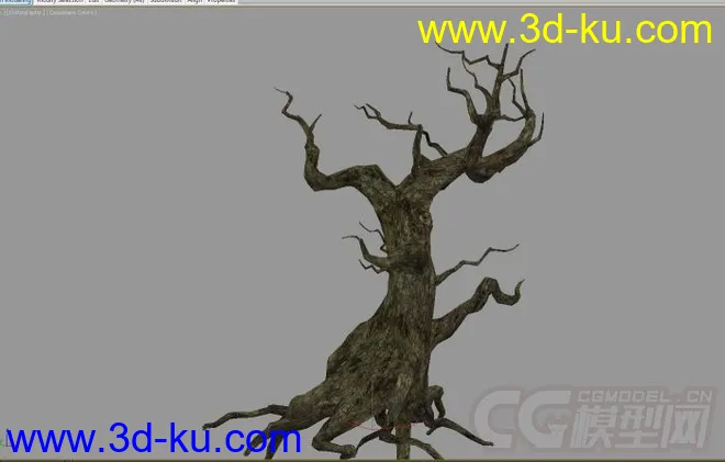 枯树模型的图片1