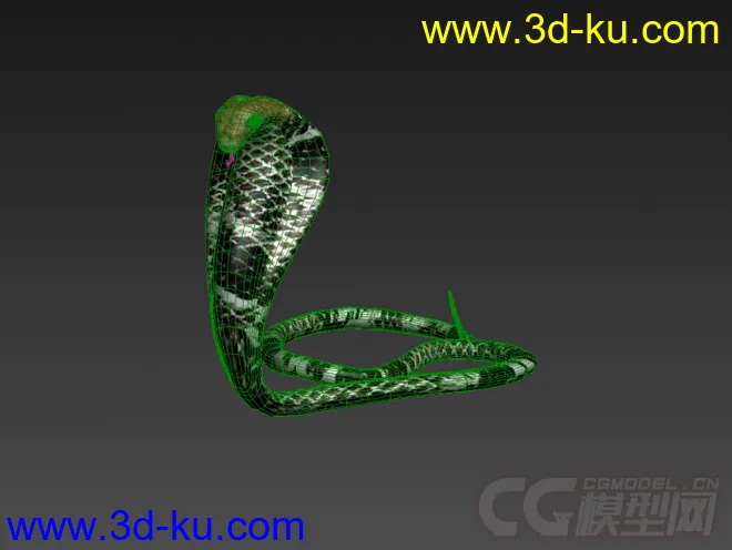 眼镜王蛇 眼镜蛇写实模型的图片1