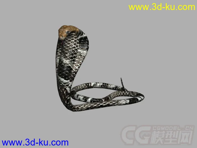 眼镜王蛇 眼镜蛇写实模型的图片2