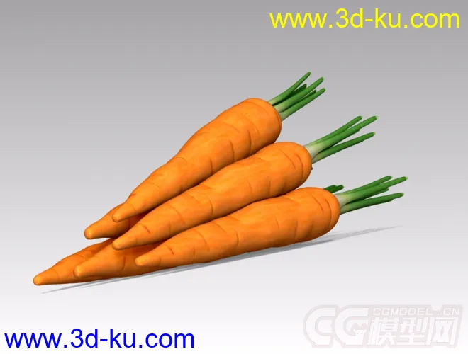 胡萝卜模型的图片1