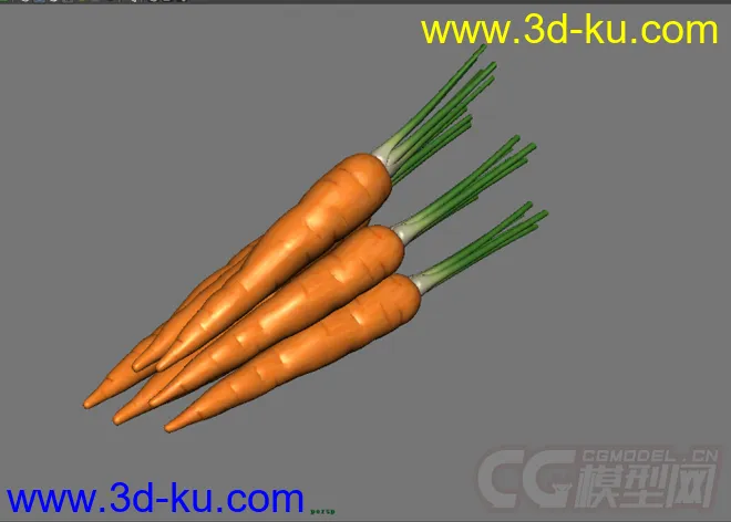 胡萝卜模型的图片4