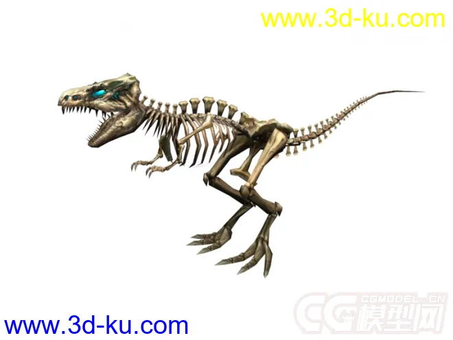 低面恐龙骨架模型的图片3
