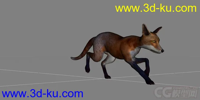 红狐 狐狸 写实狐狸模型的图片2