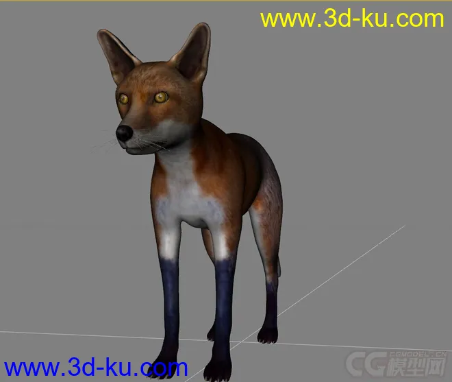 红狐 狐狸 写实狐狸模型的图片3
