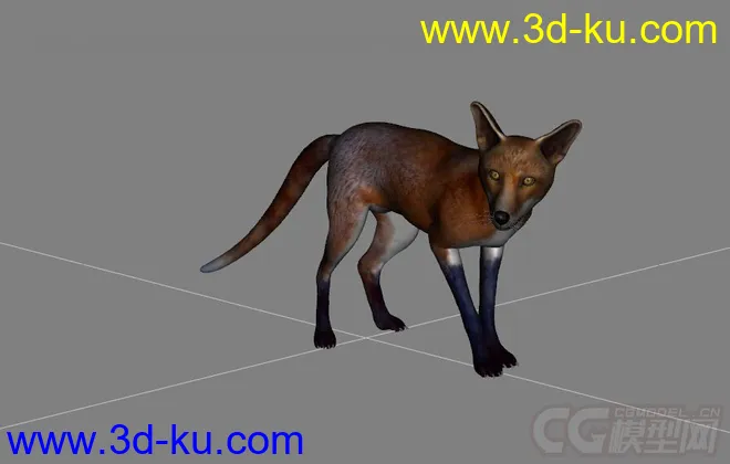 红狐 狐狸 写实狐狸模型的图片4
