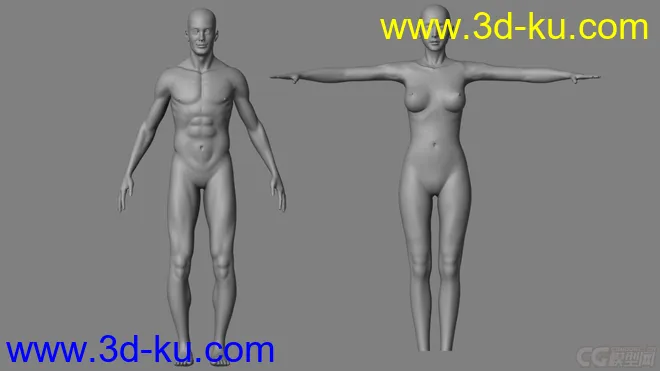 标准影视动画用男、女人体，可做动画，可以直接使用模型的图片1