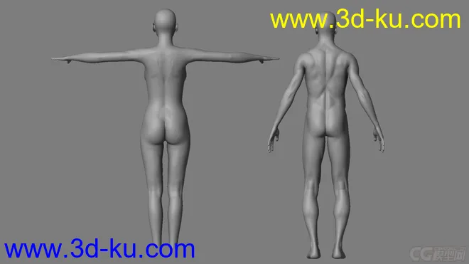 标准影视动画用男、女人体，可做动画，可以直接使用模型的图片2