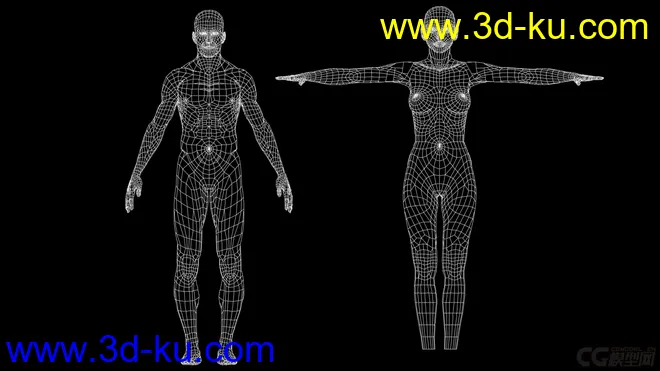 标准影视动画用男、女人体，可做动画，可以直接使用模型的图片3
