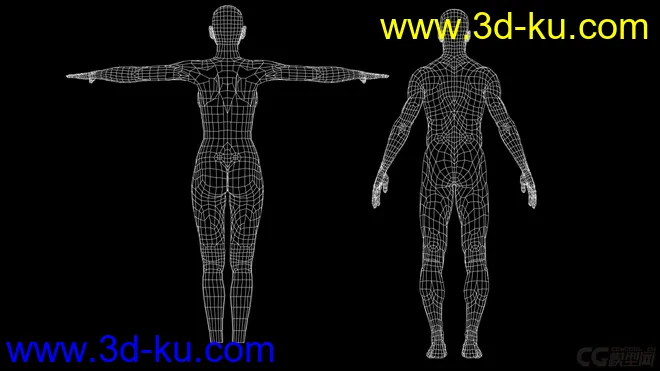 标准影视动画用男、女人体，可做动画，可以直接使用模型的图片4