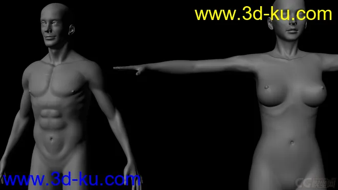 标准影视动画用男、女人体，可做动画，可以直接使用模型的图片5