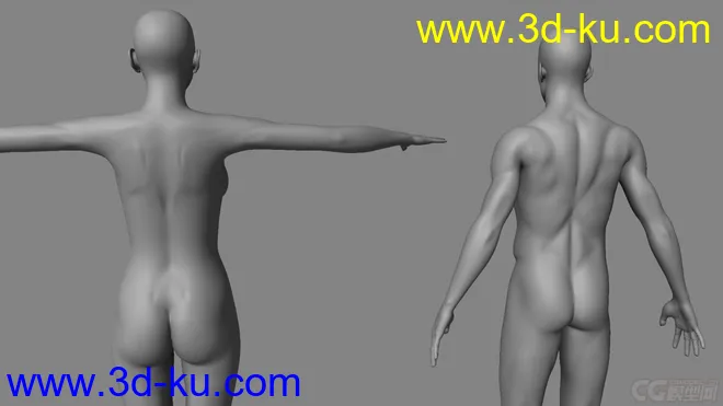标准影视动画用男、女人体，可做动画，可以直接使用模型的图片6
