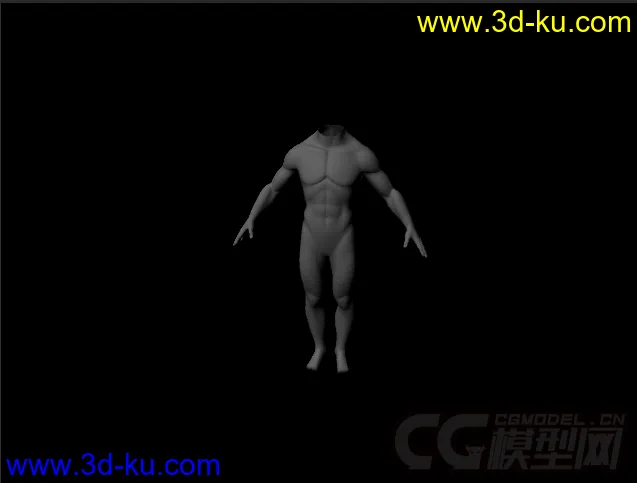 男人身体躯干模型的图片1