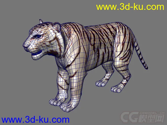 老虎模型的图片2