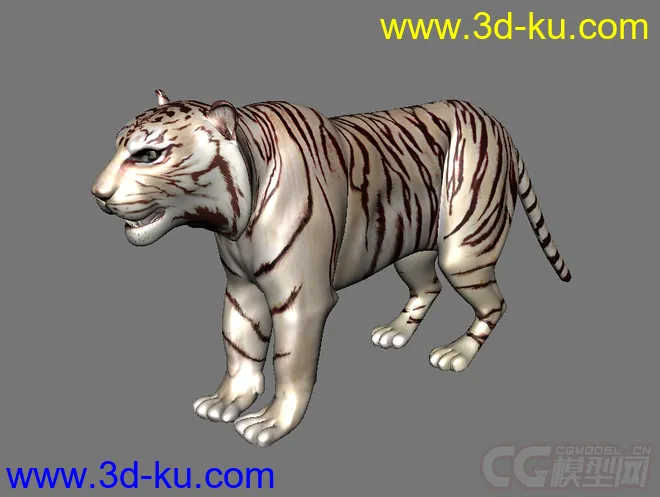 老虎模型的图片3