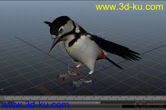 woodpecker---小鸟模型的图片1