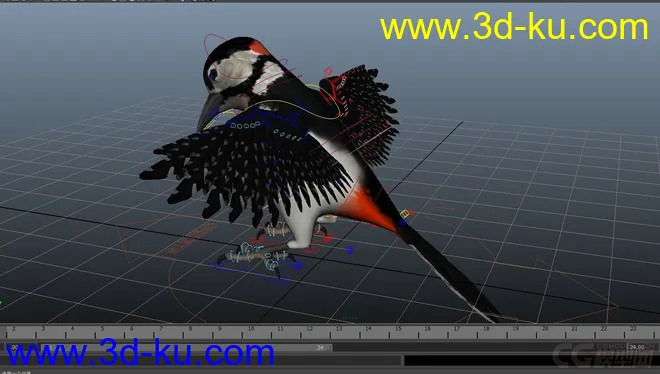 woodpecker---小鸟模型的图片2