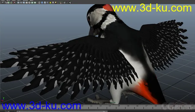 woodpecker---小鸟模型的图片4