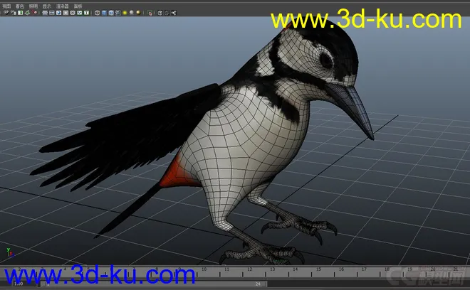 woodpecker---小鸟模型的图片6