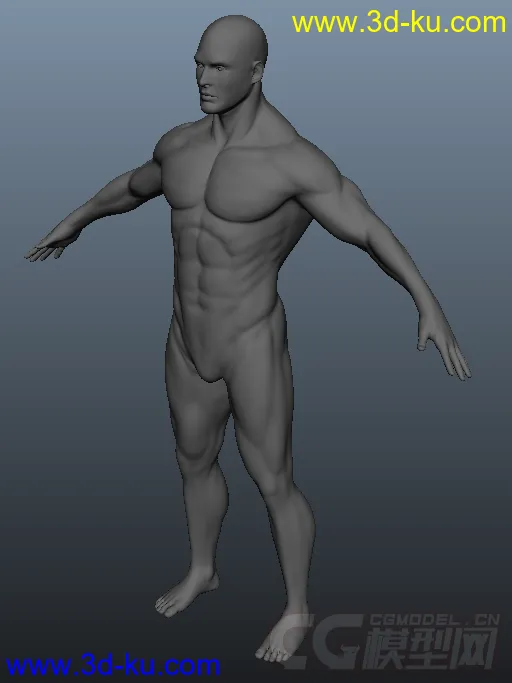 男人体模型的图片1