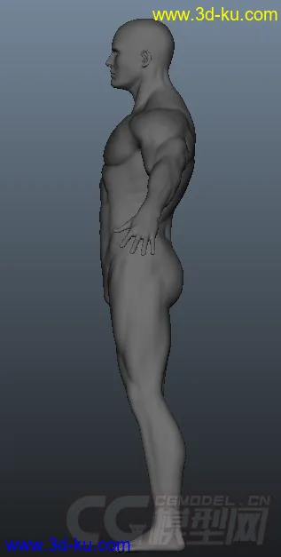 男人体模型的图片2