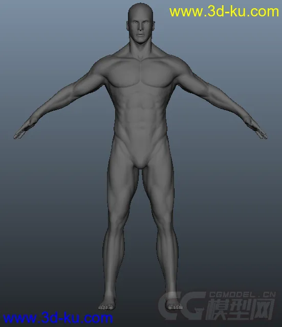 男人体模型的图片3