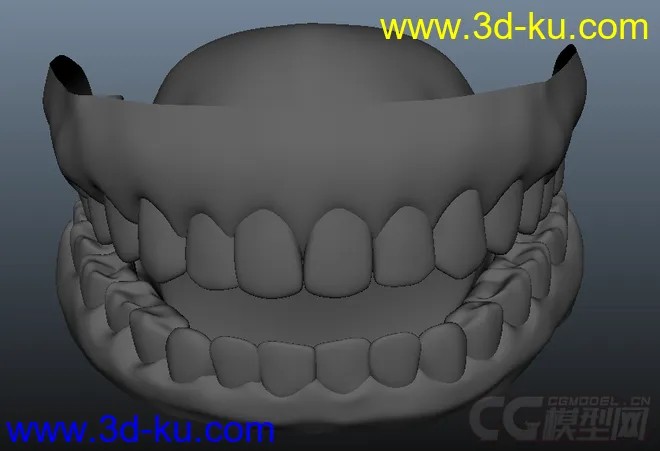 牙齿模型的图片1