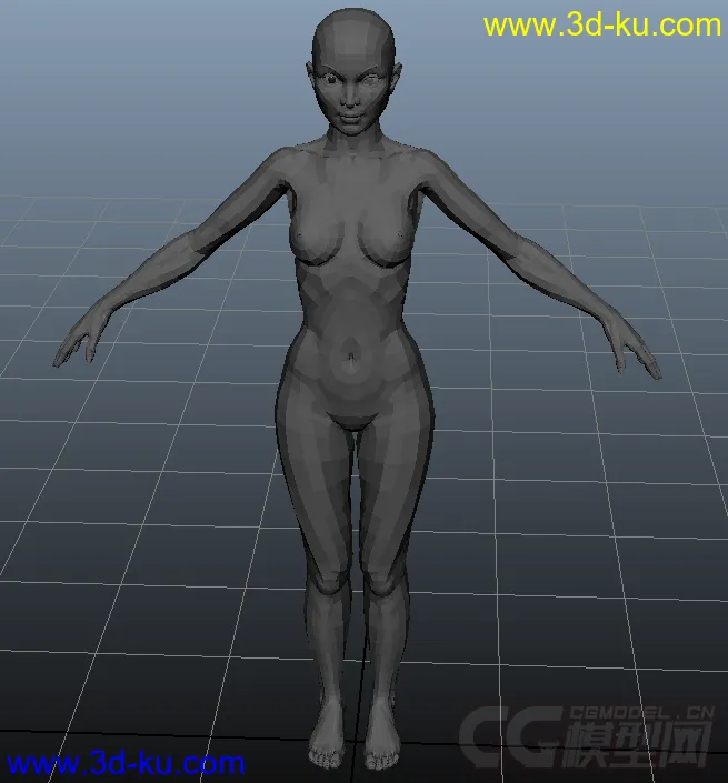 标准女人体模型的图片2