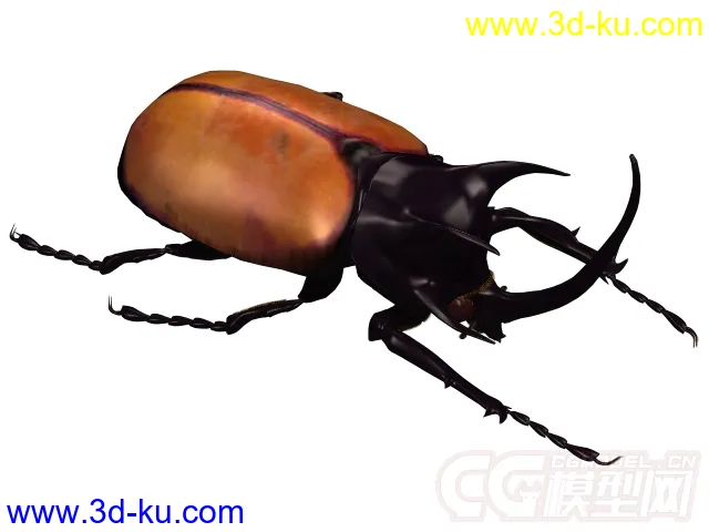 beatle甲壳虫模型的图片1