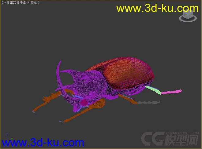 beatle甲壳虫模型的图片2