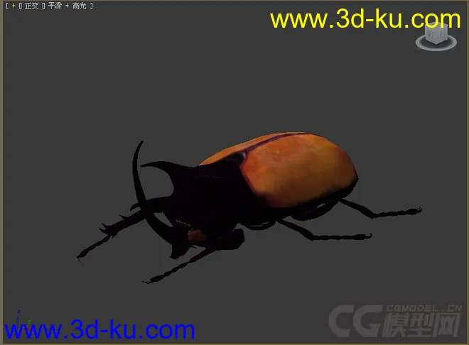 beatle甲壳虫模型的图片3