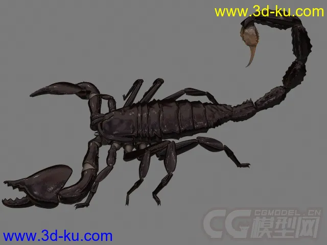 毒蝎子模型的图片1