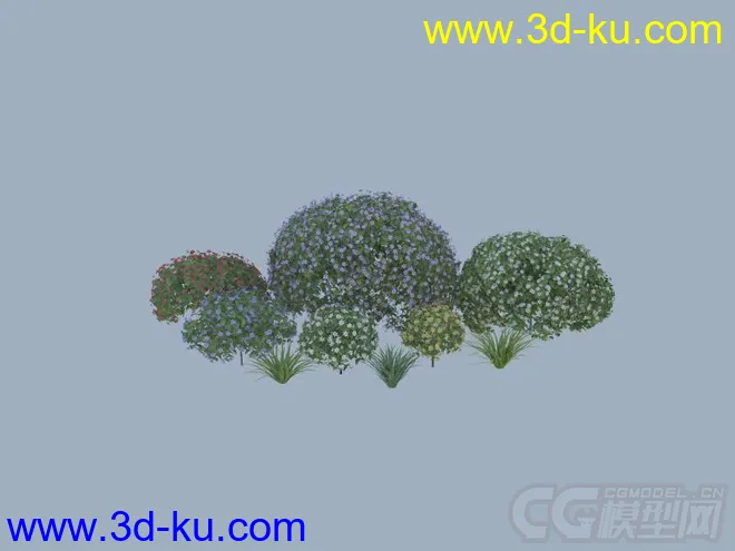 灌木模型的图片2