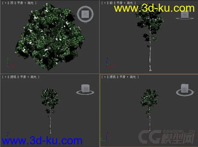 树模型11的图片1