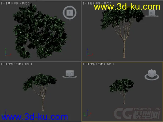 树模型13的图片3