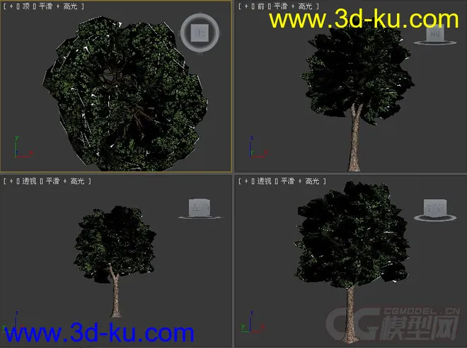 树模型16的图片1