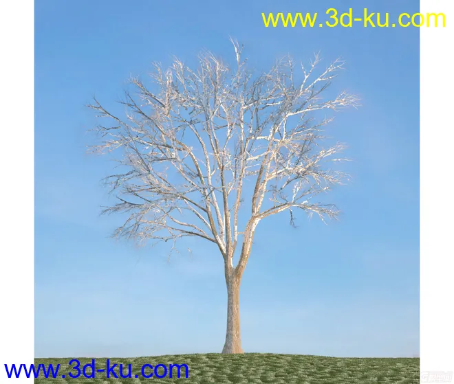 树模型25的图片2