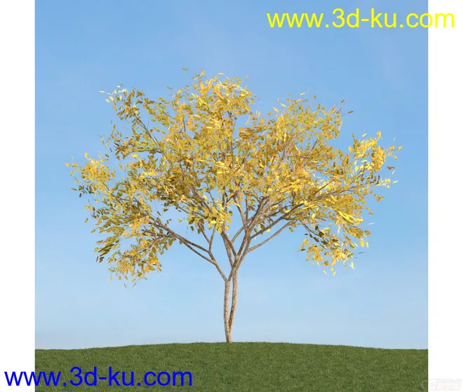 树模型33的图片2