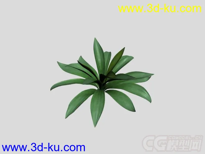 一个植物模型的图片1