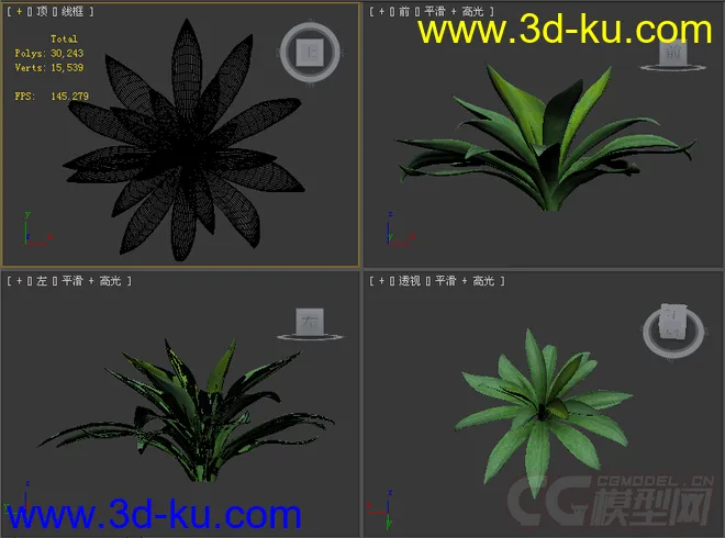 一个植物模型的图片2