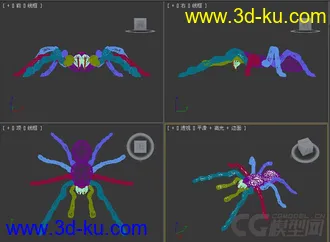 蜘蛛模型的图片