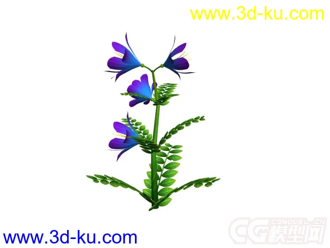 紫花檀香草模型的图片1